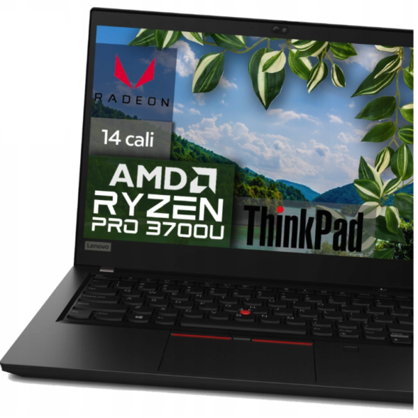 Lenovo T495